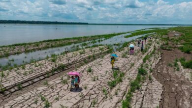 80% de riesgo de un episodio de El Niño este verano con episodios climáticos extremos 80% de riesgo de un episodio de El Niño este verano con episodios climáticos extremos